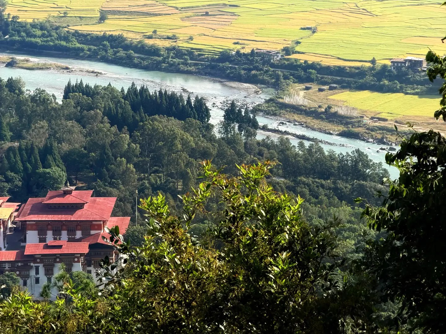 Sunlit terraced fields above a winding river in a Bhutanese valley, with a red-roofed monastery building nestled among the forested slopes below